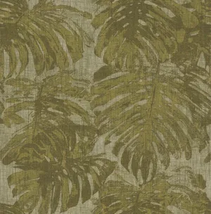 Vibrant Olive Green Background Wallpaper