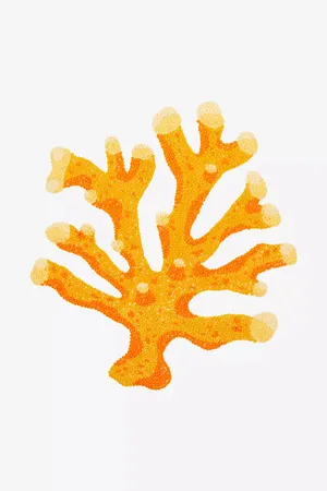 Vibrant Orange Fire Coral Illustration Wallpaper