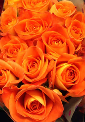 Vibrant_ Orange_ Roses_ Bouquet Wallpaper