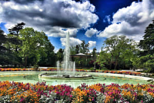 Vibrant Park Fountain Scenery Wallpaper