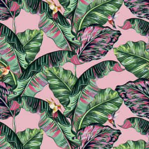 Vibrant Pink And Green Aesthetic Experience Wallpaper