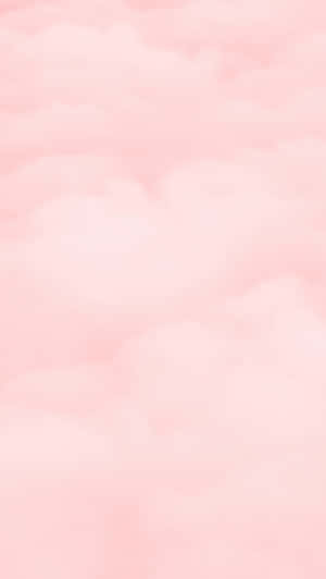 Vibrant Pink Hues Wallpaper