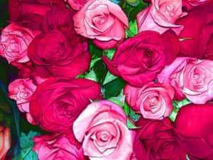 Vibrant_ Pink_ Roses_ Bouquet.jpg Wallpaper