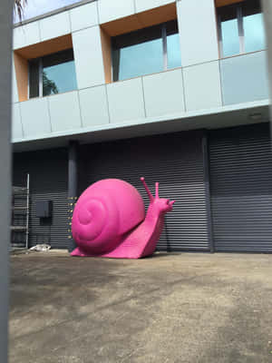 Vibrant Pink Snail On A Leaf Wallpaper