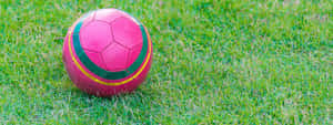 Vibrant Pink Soccer Ball On Green Grass Wallpaper