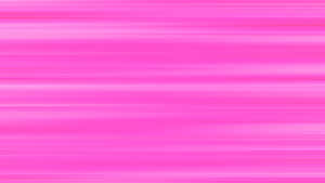 Vibrant Pink Speed Lines Background Wallpaper