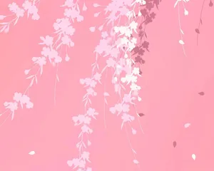 Vibrant Plain Pink Desktop Wallpaper