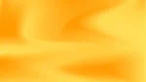 Vibrant Pop Of Yellow 2560 X 1440 Wallpaper