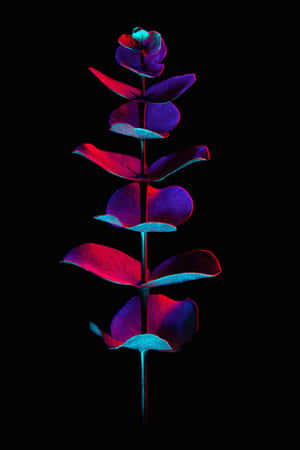 Vibrant Psychedelic Floral Explosion Wallpaper