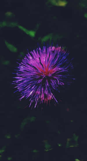 Vibrant Psychedelic Flowers In Full Bloom Wallpaper