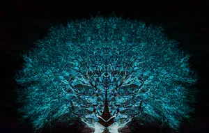 Vibrant Psychedelic Fractal Art Wallpaper