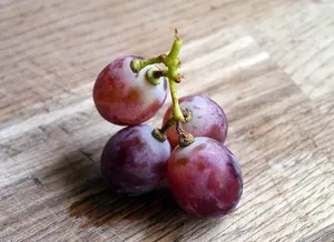 Vibrant Purple Grapes In All Shapes And Sizes Wallpaper