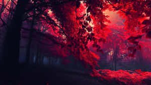 Vibrant Red Background Wallpaper