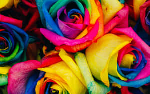 Vibrant Rose Art Masterpiece Wallpaper