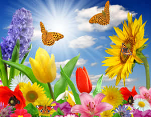 Vibrant Spring Butterflies On Colorful Blooms Wallpaper