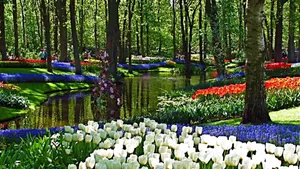 Vibrant Spring Garden In Full Bloom Wallpaper