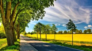 Vibrant Summer Landscape Wallpaper