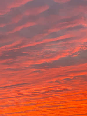 Vibrant Sunrise Over The Beach Wallpaper