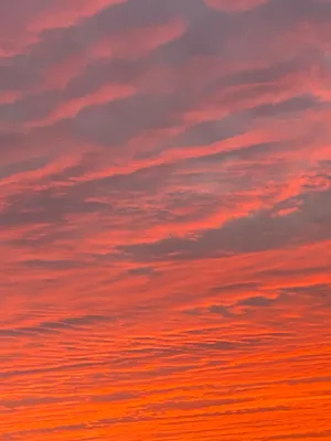 Vibrant Sunrise Over The Beach Wallpaper