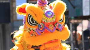 Vibrant Traditional Lion Dance Wallpaper