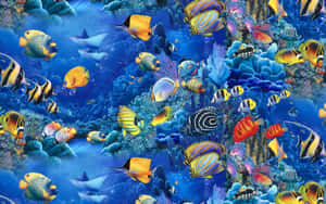 Vibrant_ Tropical_ Fish_ Underwater_ Scene Wallpaper