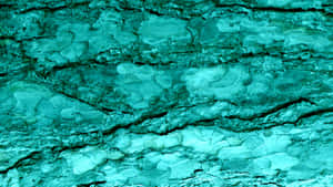 Vibrant Turquoise Blue For A Fresh And Fun Look Wallpaper