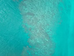 Vibrant Turquoise Green Background Wallpaper