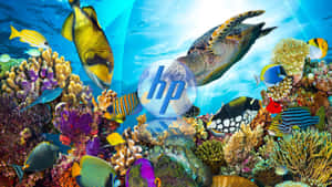 Vibrant Underwater Scenewith H P Logo Wallpaper