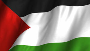 Vibrant Wavy Palestine Flag Against The Sky Wallpaper