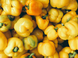 Vibrant Yellow Bell Pepper Close-up Wallpaper