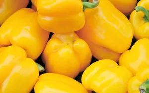 Vibrant Yellow Bell Pepper Close-up Wallpaper