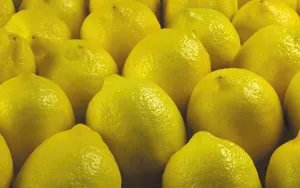 Vibrant Yellow Citrus Lemons Wallpaper