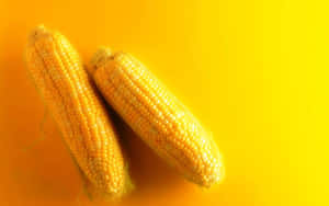 Vibrant Yellow Corn Close-up Wallpaper