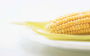 Vibrant Yellow Corn Close-up Wallpaper