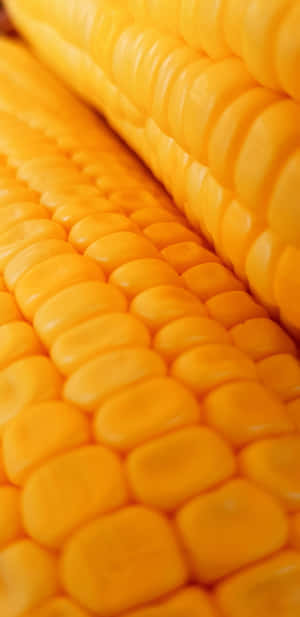 Vibrant Yellow Corn On Cobb Wallpaper