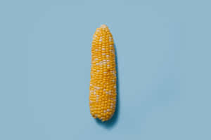 Vibrant Yellow Corn On The Cob Wallpaper