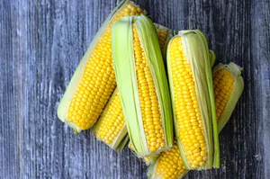 Vibrant Yellow Corn On The Cob Wallpaper