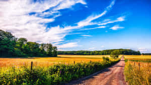 Vibrant Yellow Summer Landscape Wallpaper