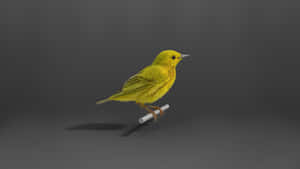 Vibrant Yellow Warbler Perched On A Branch Wallpaper