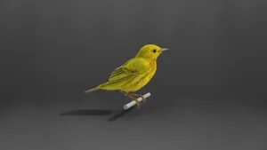 Vibrant Yellow Warbler Perched On A Branch Wallpaper