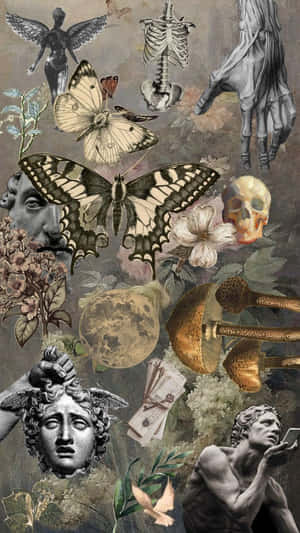 Victorian_ Collage_of_ Nature_and_ Artifacts.jpg Wallpaper