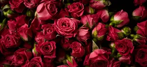 View Of Majestic Landscape In Norway Wallpaper