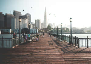 View Of Transamerica Pyramid Wallpaper