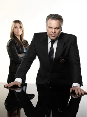 Vincent D'onofrio Striking A Pose In A Black Jacket Wallpaper