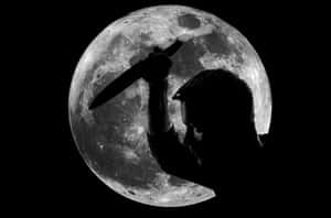 Vindictive Aesthetic Photo Wallpaper