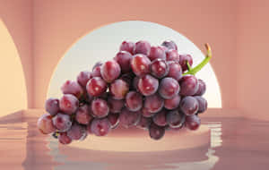 Vineyard Of Purple Grapes Wallpaper