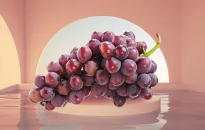 Vineyard Of Purple Grapes Wallpaper