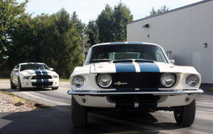 Vintage And Modern Shelby Iphone Wallpaper