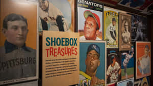 Vintage Baseball Cards Collection Wallpaper