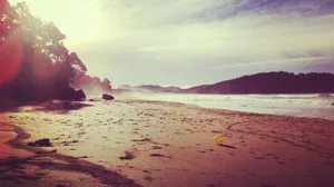 Vintage Beach Sunset Glow Wallpaper